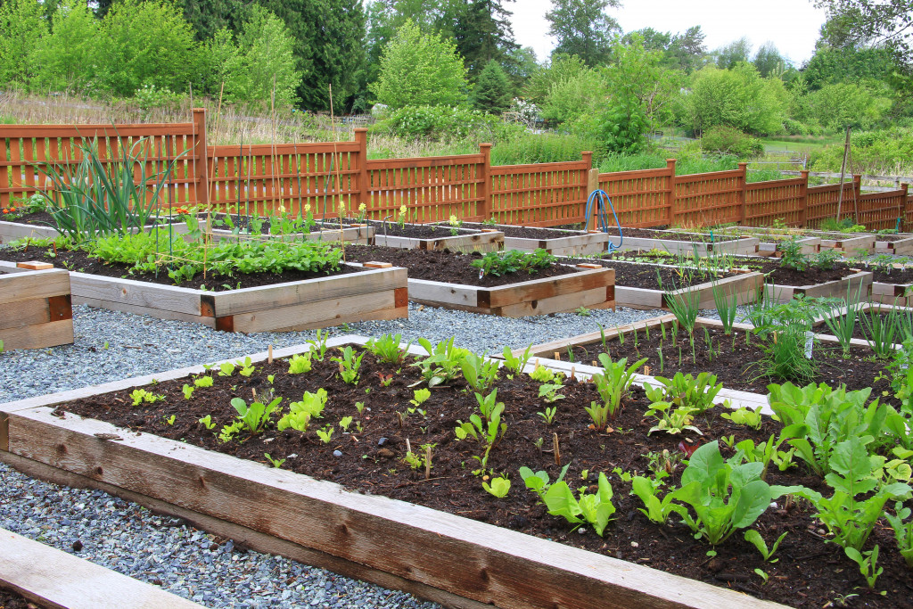 A well-made community garden