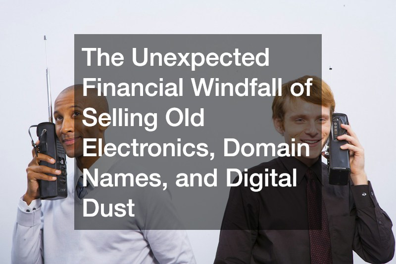 The Unexpected Financial Windfall of Selling Old Electronics, Domain Names, and Digital Dust
